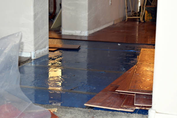 Professional Water Damage Restoration technician working in Winfield, IA